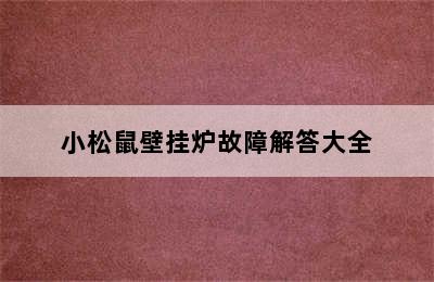 小松鼠壁挂炉故障解答大全