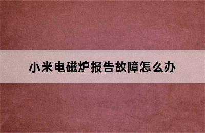 小米电磁炉报告故障怎么办