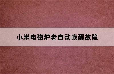 小米电磁炉老自动唤醒故障