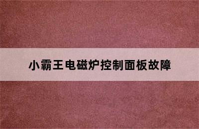 小霸王电磁炉控制面板故障