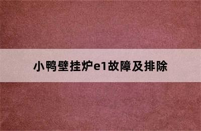 小鸭壁挂炉e1故障及排除