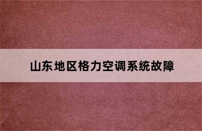 山东地区格力空调系统故障