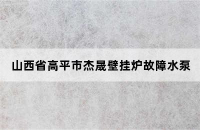 山西省高平市杰晟壁挂炉故障水泵