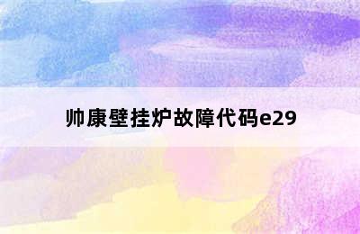 帅康壁挂炉故障代码e29