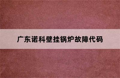 广东诺科壁挂锅炉故障代码