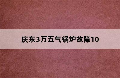 庆东3万五气锅炉故障10