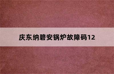 庆东纳碧安锅炉故障码12