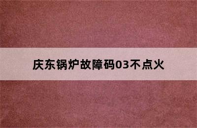 庆东锅炉故障码03不点火