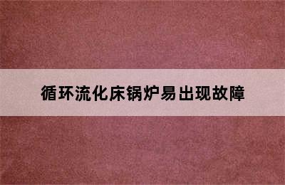 循环流化床锅炉易出现故障