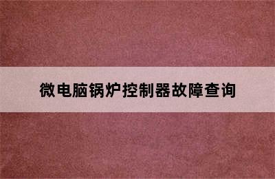 微电脑锅炉控制器故障查询