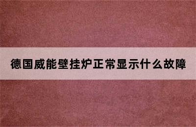 德国威能壁挂炉正常显示什么故障