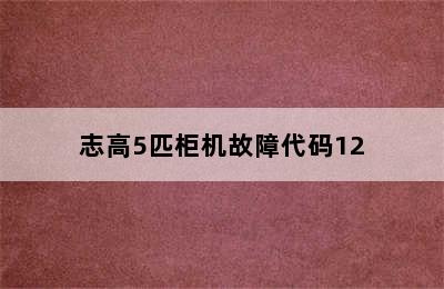 志高5匹柜机故障代码12