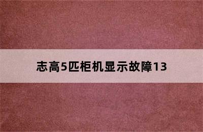 志高5匹柜机显示故障13