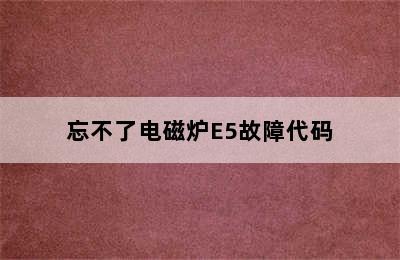 忘不了电磁炉E5故障代码