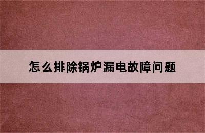 怎么排除锅炉漏电故障问题