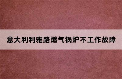 意大利利雅路燃气锅炉不工作故障