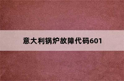 意大利锅炉故障代码601