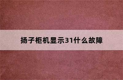 扬子柜机显示31什么故障