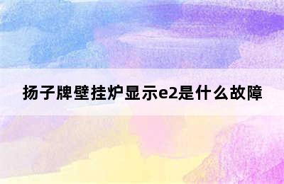 扬子牌壁挂炉显示e2是什么故障