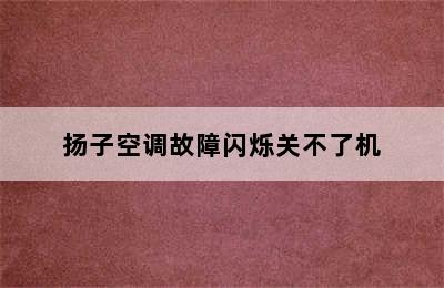 扬子空调故障闪烁关不了机