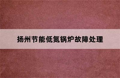 扬州节能低氮锅炉故障处理