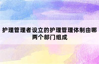 护理管理者设立的护理管理体制由哪两个部门组成