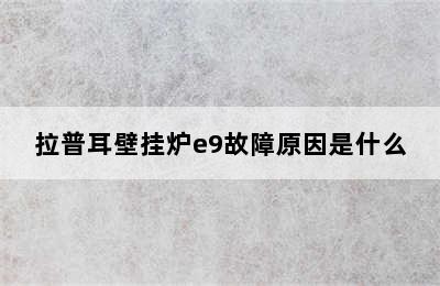 拉普耳壁挂炉e9故障原因是什么