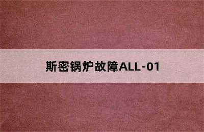 斯密锅炉故障ALL-01