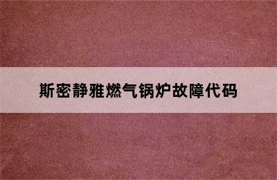 斯密静雅燃气锅炉故障代码