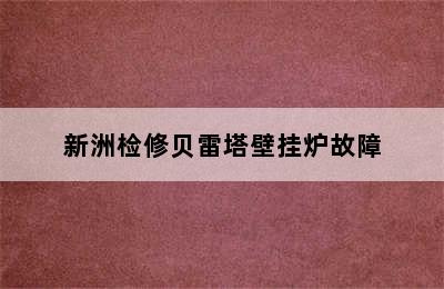 新洲检修贝雷塔壁挂炉故障