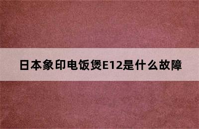 日本象印电饭煲E12是什么故障