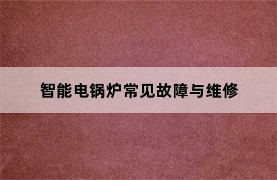 智能电锅炉常见故障与维修