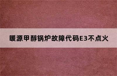 暖源甲醇锅炉故障代码E3不点火