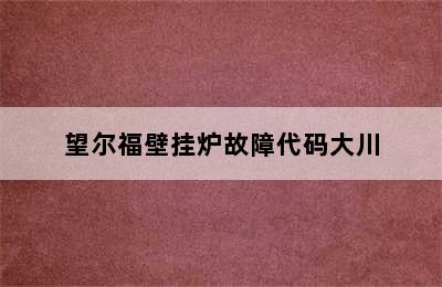 望尔福壁挂炉故障代码大川