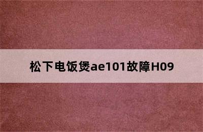 松下电饭煲ae101故障H09