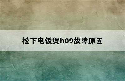 松下电饭煲h09故障原因