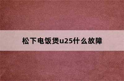 松下电饭煲u25什么故障