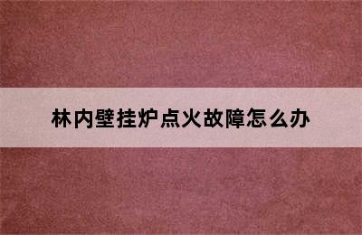 林内壁挂炉点火故障怎么办