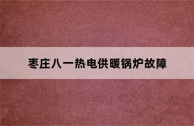 枣庄八一热电供暖锅炉故障