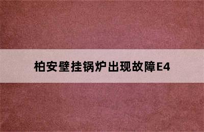 柏安壁挂锅炉出现故障E4