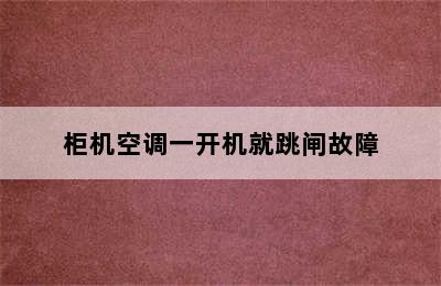 柜机空调一开机就跳闸故障