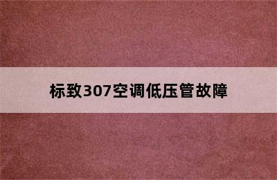 标致307空调低压管故障