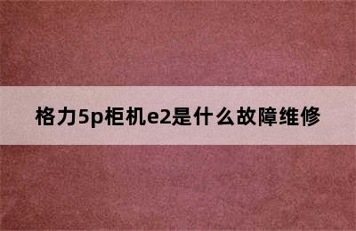 格力5p柜机e2是什么故障维修