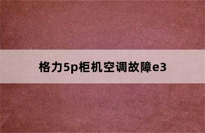 格力5p柜机空调故障e3