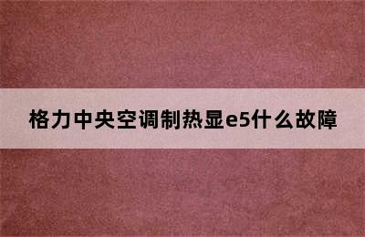 格力中央空调制热显e5什么故障