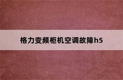 格力变频柜机空调故障h5