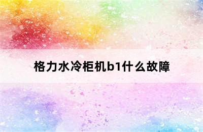 格力水冷柜机b1什么故障