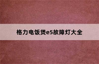 格力电饭煲e5故障灯大全