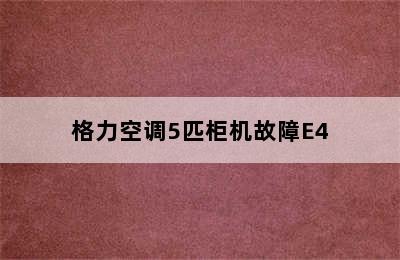 格力空调5匹柜机故障E4