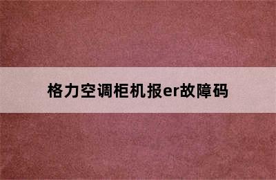 格力空调柜机报er故障码